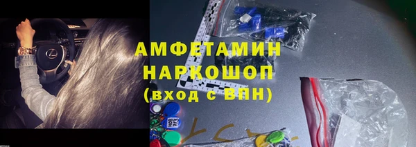 индика Горнозаводск