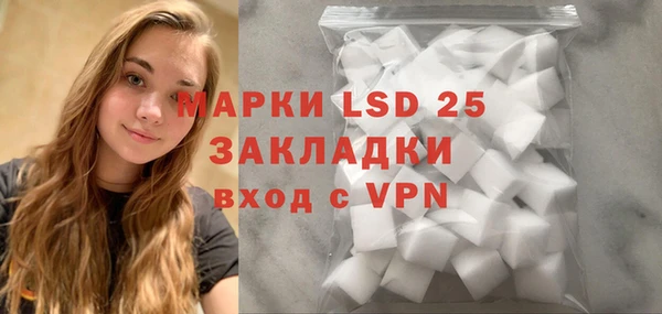индика Горнозаводск
