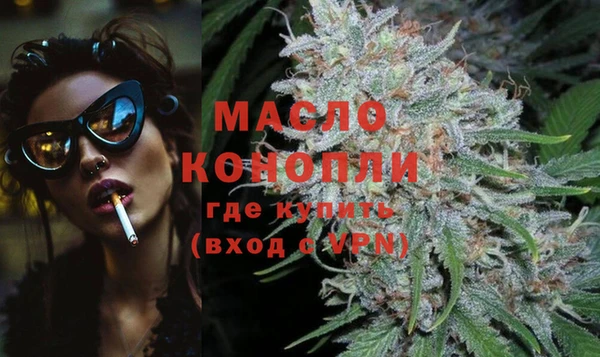 индика Горнозаводск