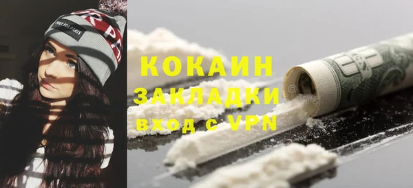 индика Горнозаводск