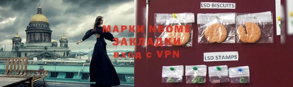 индика Горнозаводск