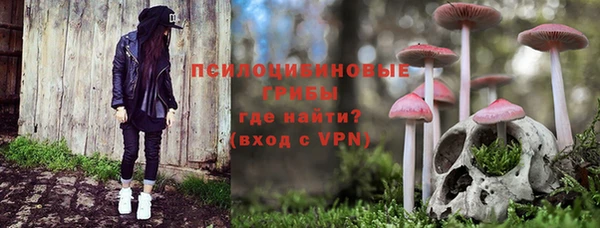 ГАЛЛЮЦИНОГЕННЫЕ ГРИБЫ Майский