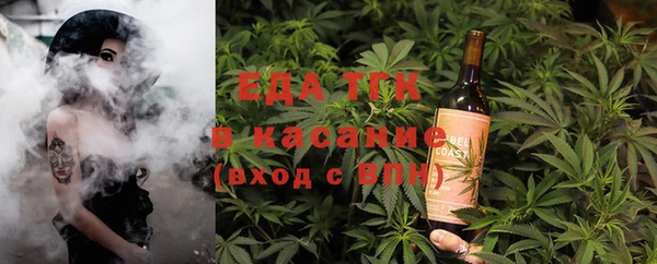индика Горнозаводск