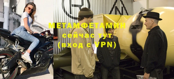 индика Горнозаводск