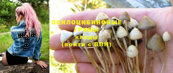 стаф Горно-Алтайск