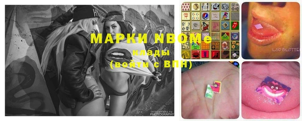 индика Горнозаводск