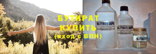 индика Горнозаводск