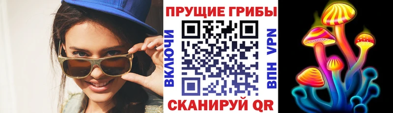 Псилоцибиновые грибы прущие грибы omg рабочий сайт площадка наркотические препараты купить сайты Перевоз