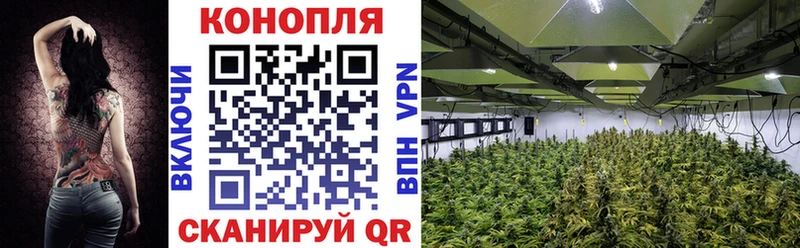 это какой сайт где купить Перевоз МАРИХУАНА SATIVA & INDICA